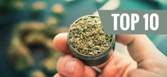 10 acessórios de luxo para apreciadores de cannabis em qualquer ocasião