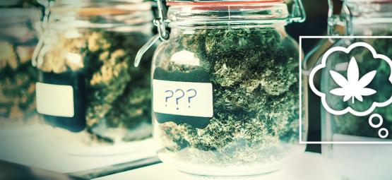 Como devemos nomear as variedades de cannabis no futuro?