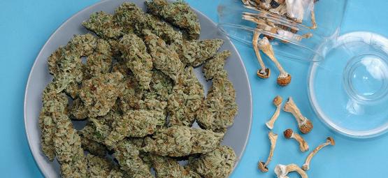 É possível combinar cannabis com cogumelos alucinogénos?