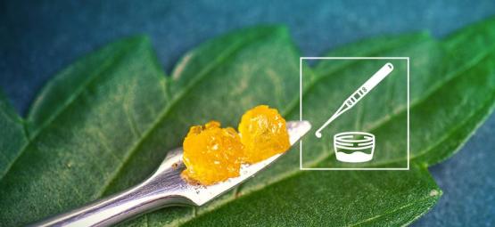 Tudo o que precisa de saber sobre live resin
