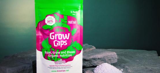 Growcaps: como cultivar canábis de forma fácil