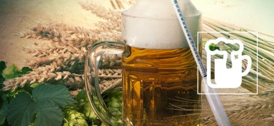 Compreender o hidrómetro: o segredo para fazer uma cerveja excelente