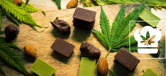Como fazer chocolate de canábis