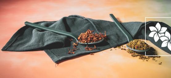 Wild dagga e klip dagga: qual é a diferença?