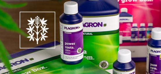 Tire o máximo partido das suas plantas com a Plagron