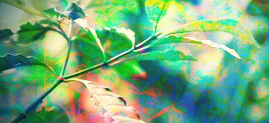 Como é realmente uma experiência com DMT?