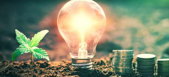 Como reduzir os custos energéticos ao cultivar canábis em ambiente interior