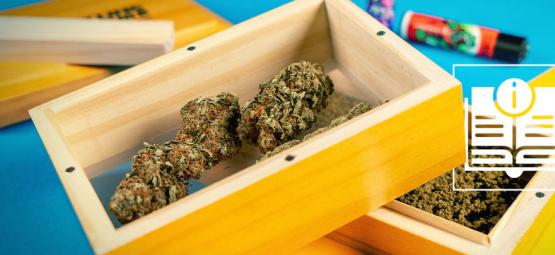 Guia passo a passo para fazer dry sift hash em casa