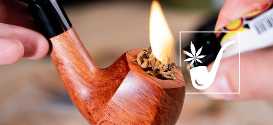 Os 10 melhores cachimbos para erva