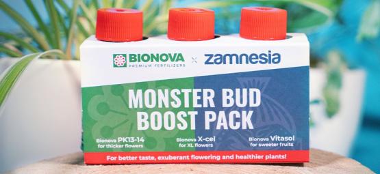 Utilize o Monster Bud Boost Pack Para Obter Botões de Cannabis Mais Saborosos