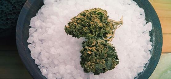 Como pode o sal de Epsom beneficiar as suas plantas de canábis?