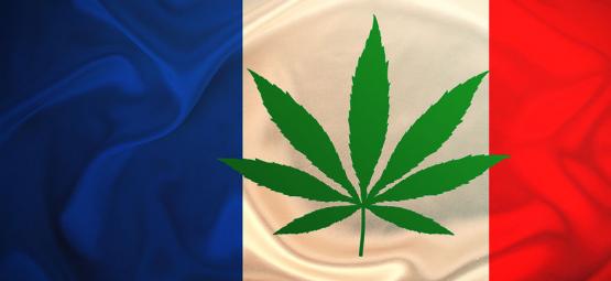 França vai oferecer canábis gratuita em 2024