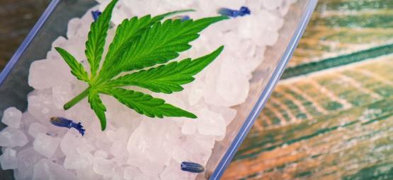 Como fazer sal de canábis para receitas práticas