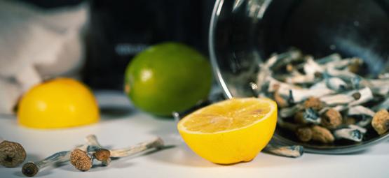 Como preparar Lemon Tek para uma viagem de cogumelos ou trufas mais rápida