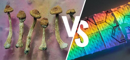 Cogumelos mágicos versus LSD: qual é a diferença?