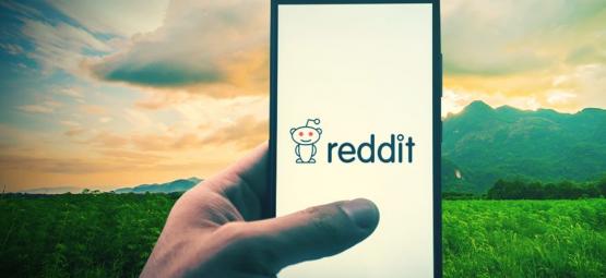 Top 10 comunidades de cannabis no Reddit