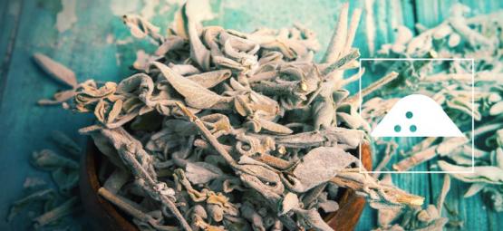 Como fazer extrato de Salvia Divinorum a partir de folhas secas