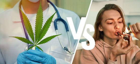 Cannábis medicinal vs. canábis recreativa: qual é a diferença?