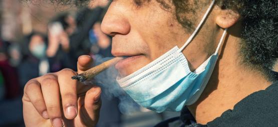 Canabinóides: Poderão ajudar a prevenir a COVID-19?