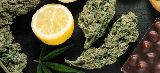 Como os diferentes alimentos interagem com medicamentos