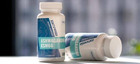 O que precisa de saber sobre Ashwagandha
