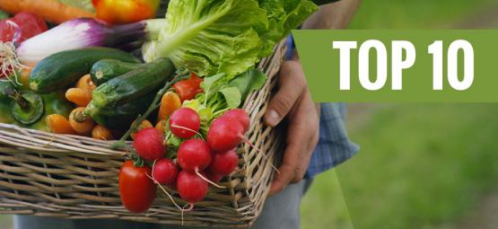 Top 10 legumes mais fáceis de cultivar