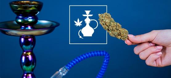 Fumar cannabis num shisha: O que deve saber