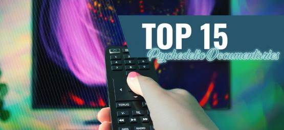 Top 15 documentários psicadélicos