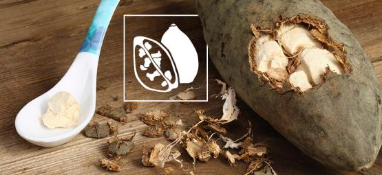 O tesouro africano: descubra os benefícios do pó de baobá