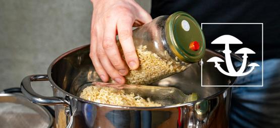 Como produzir esporos de cogumelo sem panela de pressão