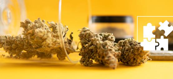 Microdosagem de THC: O que é e como funciona?