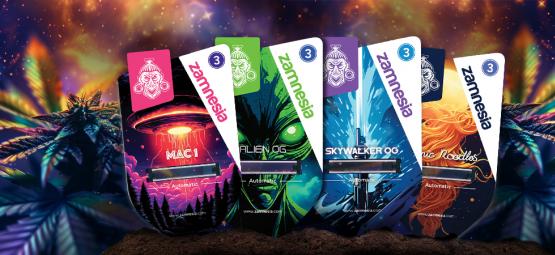 Zamnesia Seeds Show Episódio 1: Delícias Galácticas