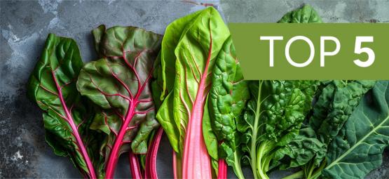 As 5 melhores verduras de folha para cultivar em casa
