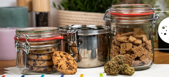 Como conservar comestíveis de cannabis