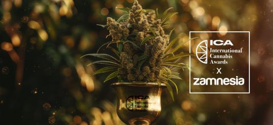 Prémios Internacionais de Cannabis 2024 — Zamnesia Conquista Grande Vitória!