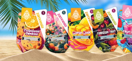Zamnesia Seeds Show Episódio 3: Club Tropicana