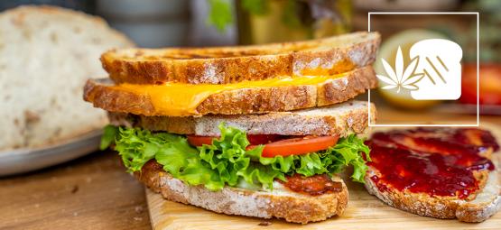 Como fazer uma sandes de cannabis – 5 receitas deliciosas