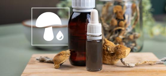 Mushroom Drops: Um guia completo