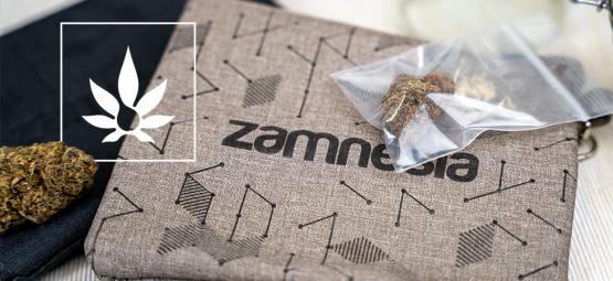 A evolução das embalagens de canábis: dos sacos de papel às caixas de luxo