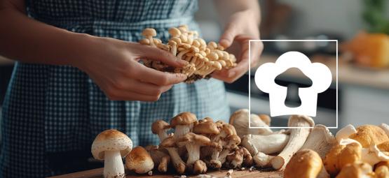 Quais são os melhores cogumelos para consumir?
