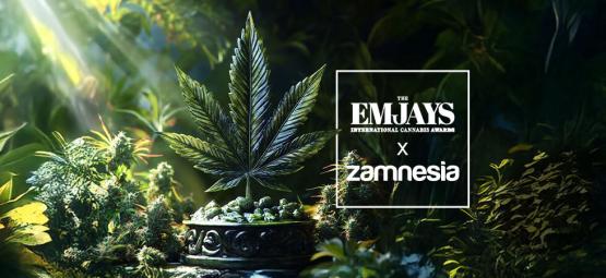 The Emjays – Prémios Internacionais de Cannabis – Zamnesia Conquista Grande Vitória