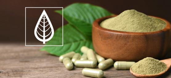 Qual é a diferença entre as variedades de kratom?