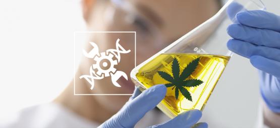 Cannabis no biohacking: Uma abordagem inovadora para o bem-estar moderno