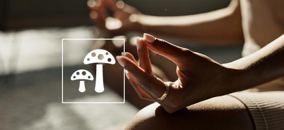 Guia completo de biohacking com cogumelos psicadélicos e funcionais