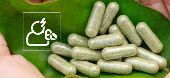Segurança e efeitos secundários do kratom: O que deve saber