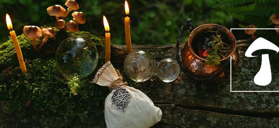 Quem eram os druidas e terão utilizado cogumelos alucinogénios?