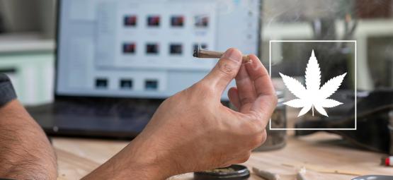 Como ser um consumidor funcional de cannabis