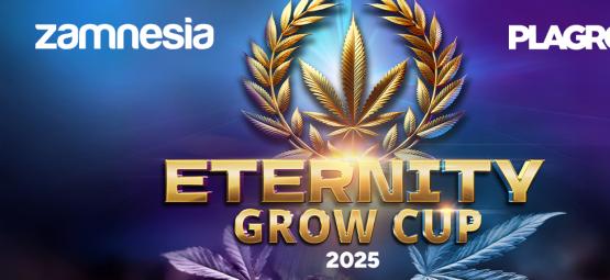 Eternity Grow Cup 2025: Uma celebração das melhores colheitas deste ano
