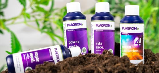 Melhores fertilizantes orgânicos para o cultivo de canábis