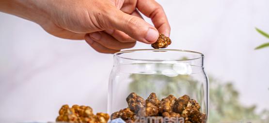 Como conservar trufas mágicas?